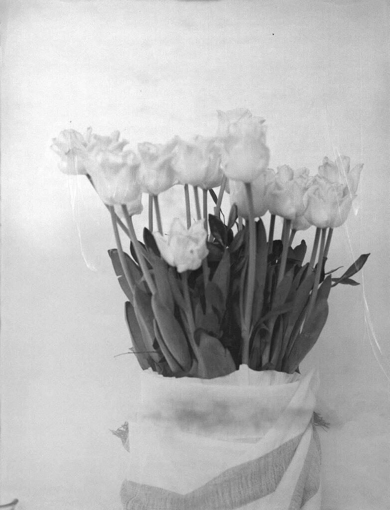 1A_STILL014 -2