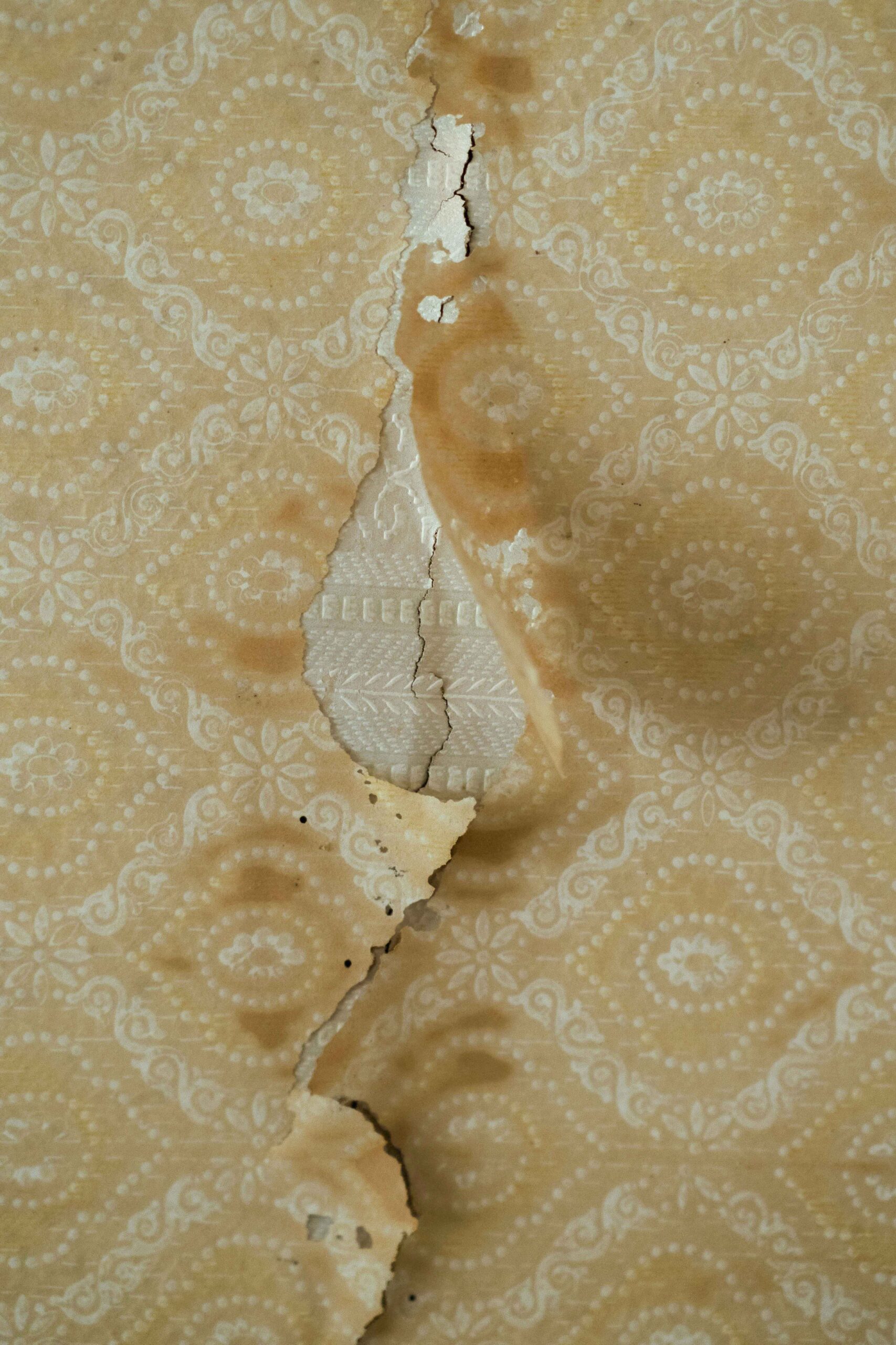 43_DSCF1619