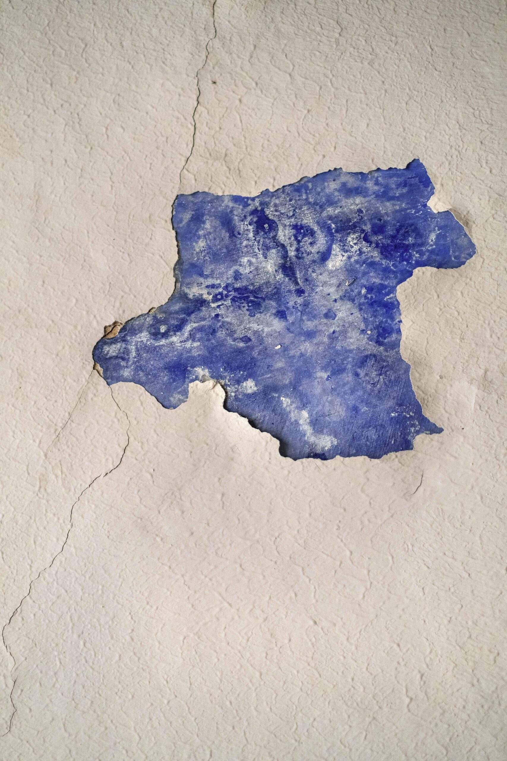 49_stampa1_DSCF1604 2