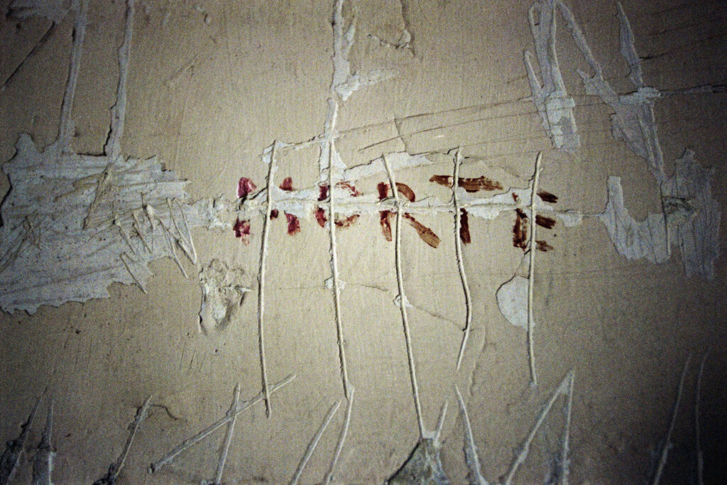 Imuuk6_1