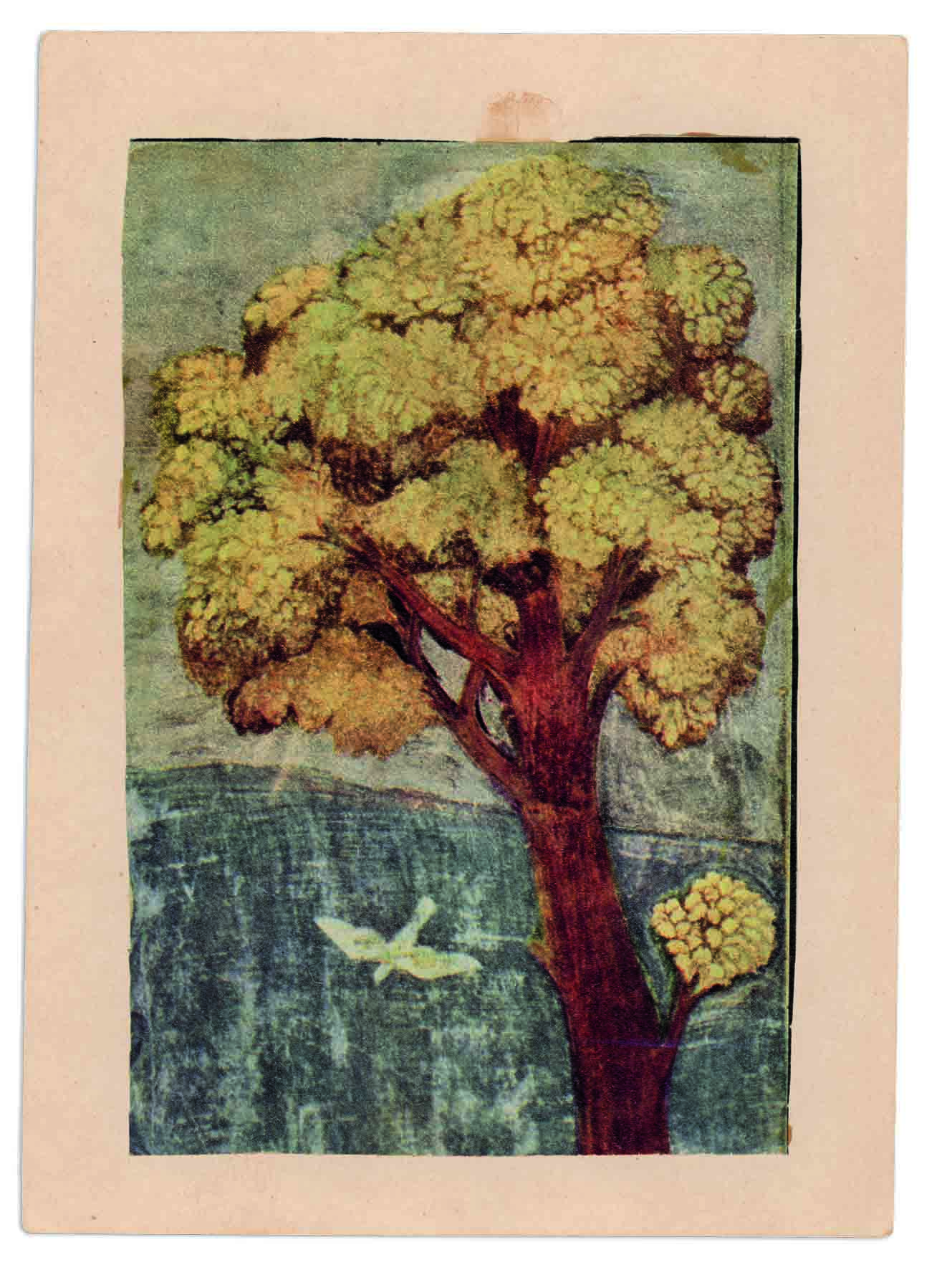 albero134 copia
